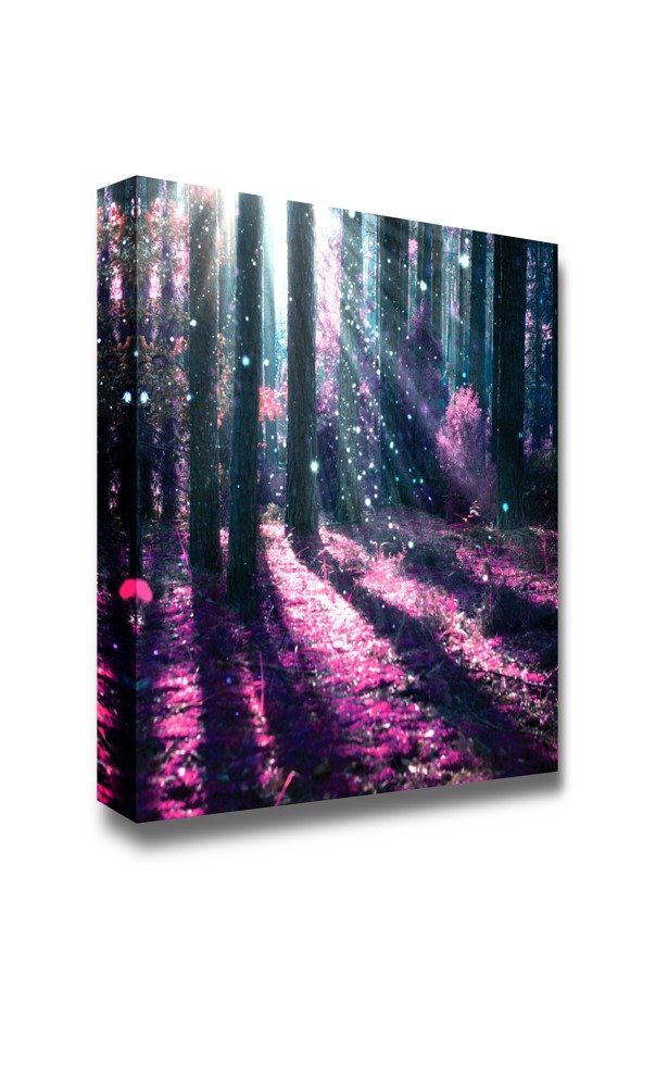Fantasy Landscape Mysterious Old Forest Canvas Prints - 16