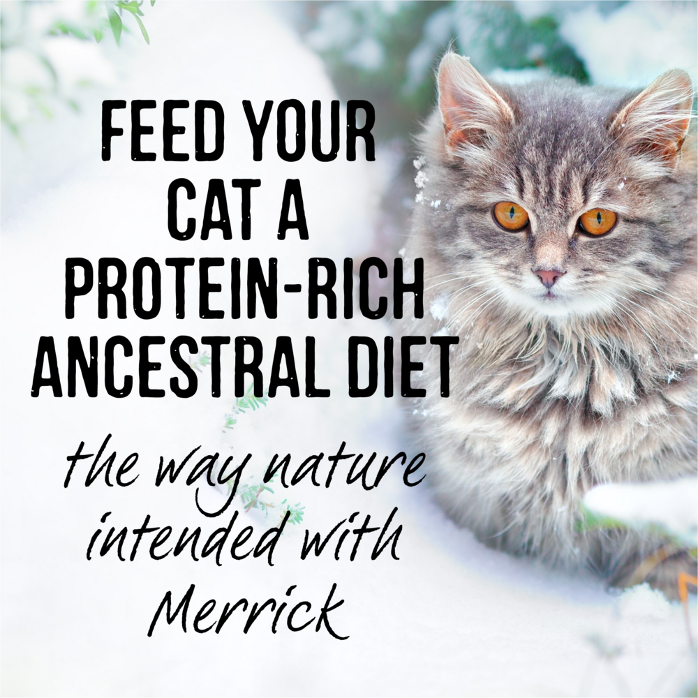 Merrick Backcountry Grain Free Gluten Free High Protein Wet Cat Food - Whitefish Recipe with Gravy | Premium Natural Cat Food for Indoor & Outdoor Cats | Perfect for Weight Management & Sensitive Stomachs