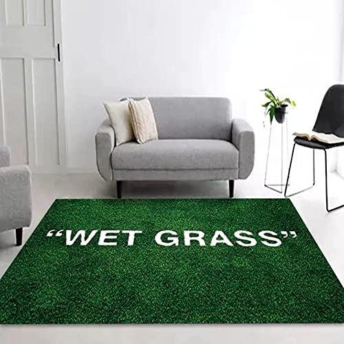 FLYLH Soft Plush Grass Rug - 23.62x35.43 Inch Green Artificial Turf Carpet for Living Room, Bedroom, Nursery Decor - Non-Slip Floor Mat for Indoor Sofa, Bay Window, Play Area & Home Decoration