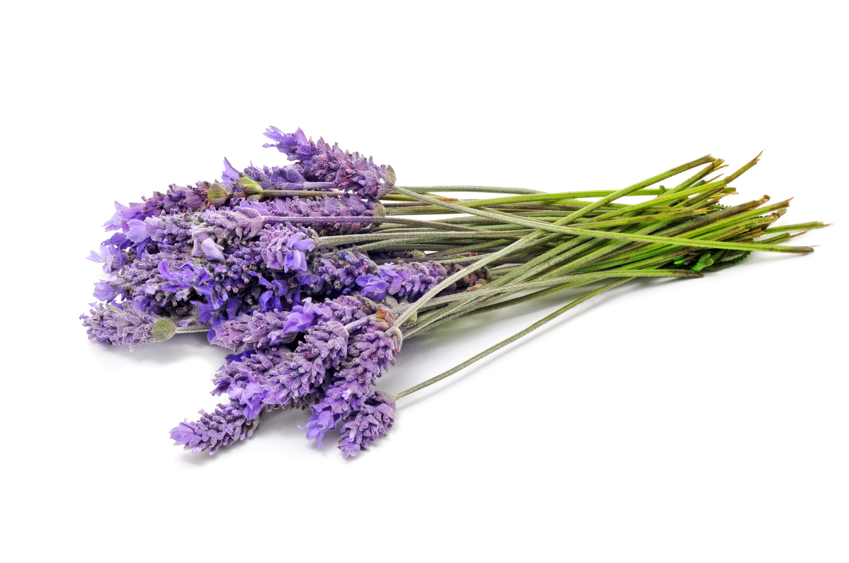 Organic Lavender Bulgarian Essential Oil - Pure & Natural for Aromatherapy, Relaxation & Skin Care