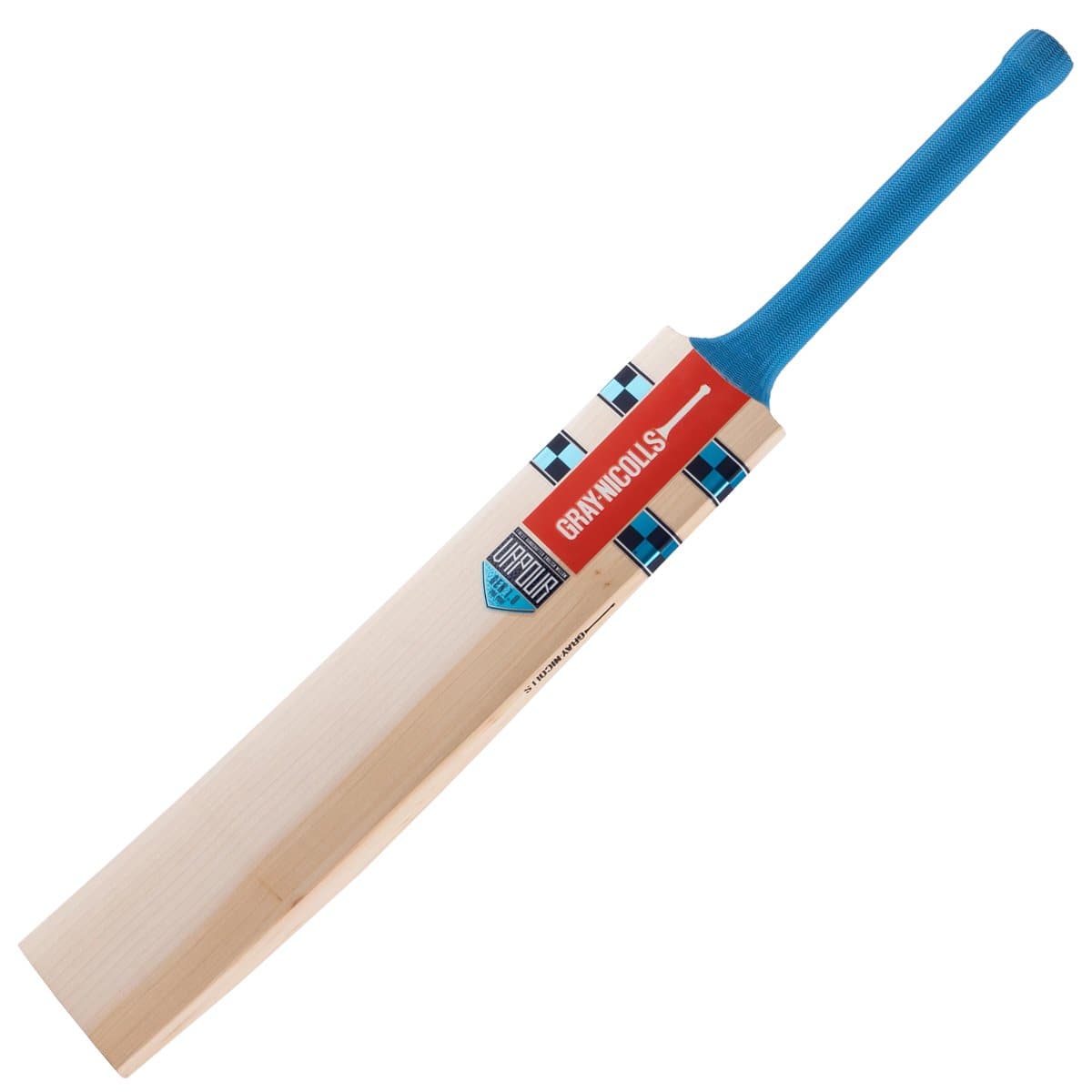 Gray Nicolls Vapour Gen 1.0 Junior Cricket Bat for Kids - Lightweight English Willow Cricket Bat for Youth Players, Perfect for Practice & Matches
