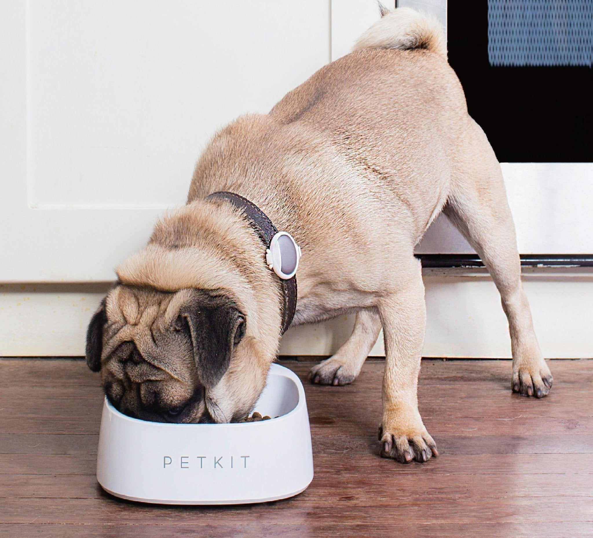 PETKIT Fresh Smart Antibacterial Digital Scale Pet Bowl for Dogs and Cats - Automatic Portion Control for Healthy Feeding at Home