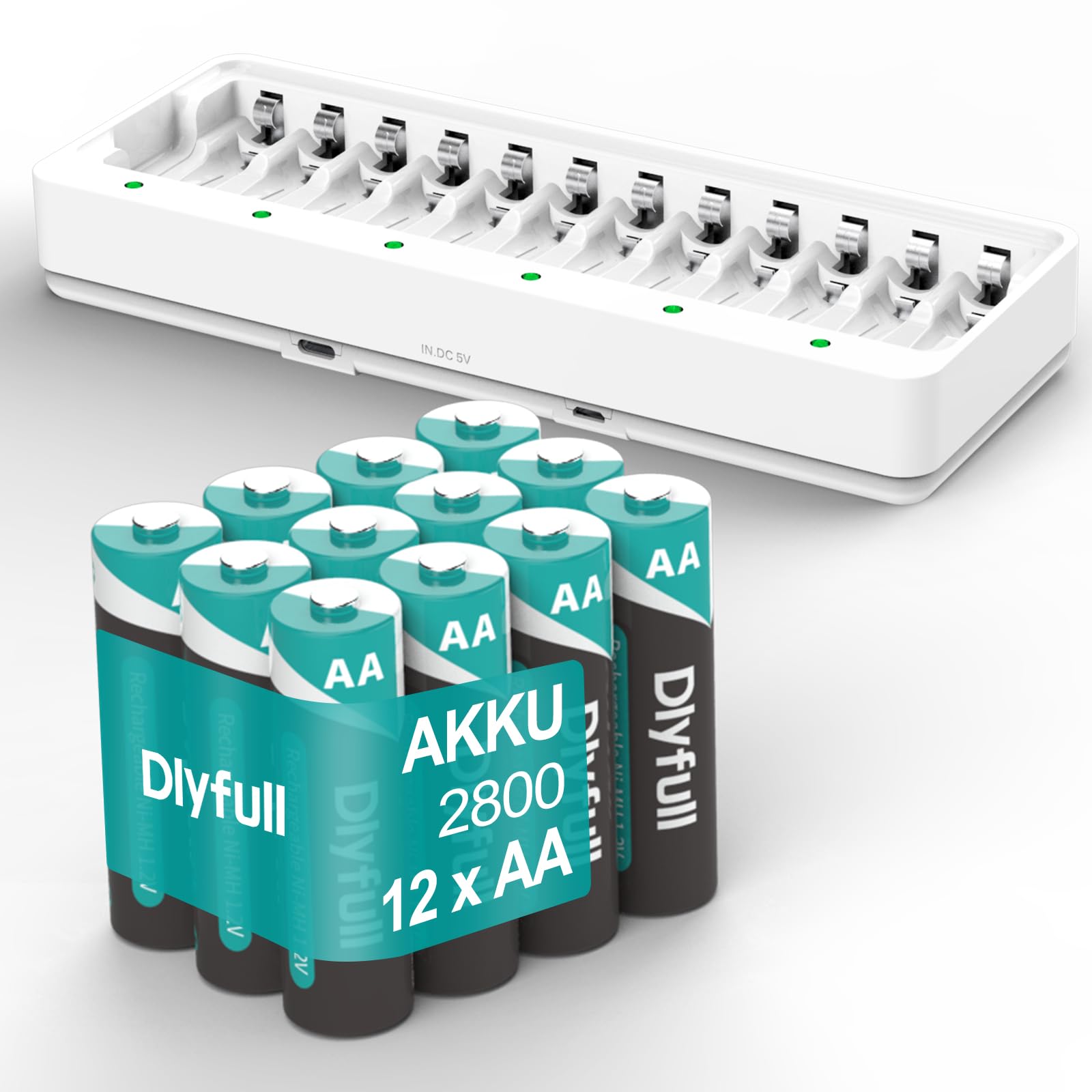 Dlyfull 12-Pack 2800mAh Rechargeable AA Batteries with USB & Type C Charger - High Capacity Ni-MH Low Self Discharge Double A Batteries for Cameras, Toys, Flashlights & Electronics - Fast Charging Dual Input Ports