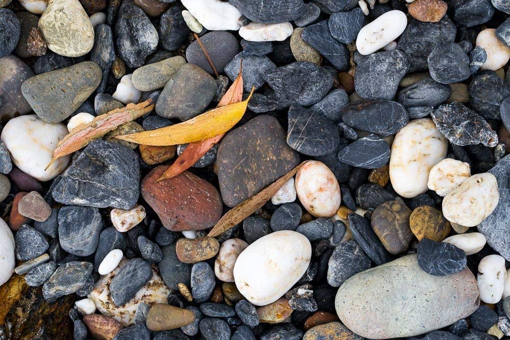 Stunning Rocks and Gum Leaves on Australian Beach NSW - Perfect for Coastal Decor, Photography & Nature Lovers