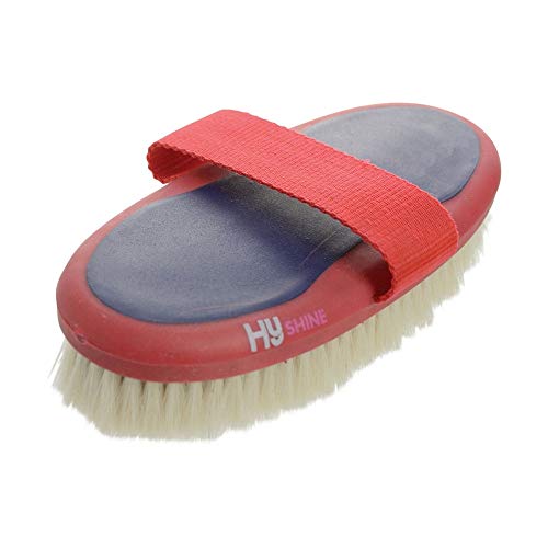Navy/Red