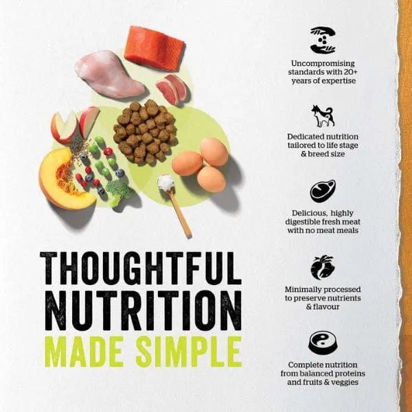 Now Fresh Turkey, Salmon & Duck Recipe Small Breed Puppy Dry Dog Food - Grain-Free, High-Protein Kibble for Toy & Mini Dogs - Perfect for Active Puppies, Training Treats & Sensitive Stomachs
