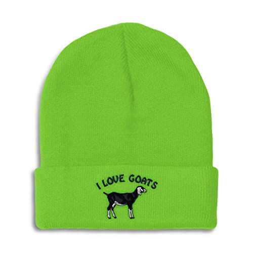 Lime Design Only