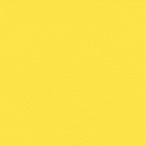Caribbean Yellow