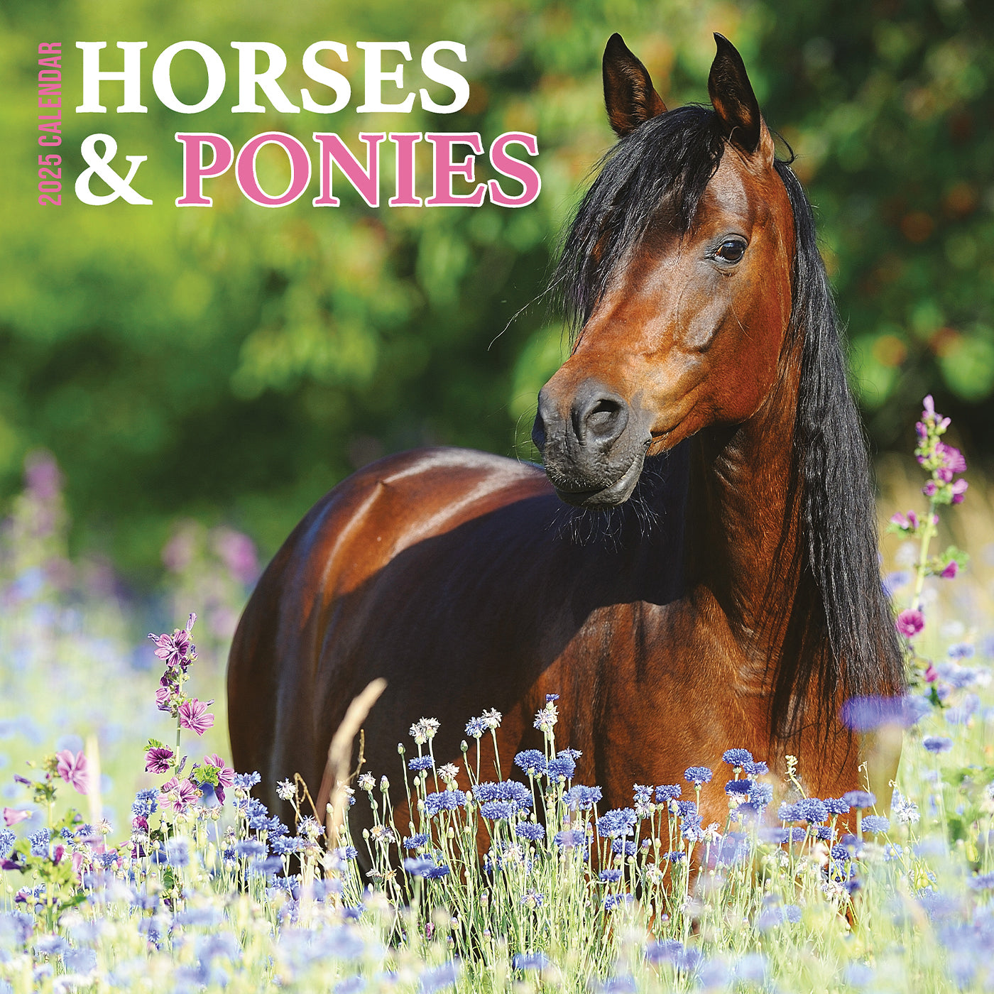 2025 Horses & Ponies Wall Calendar - Beautiful Equine Photography for Horse Lovers | Perfect for Home, Office, or Stable Decor | Monthly Planner & Gift Idea
