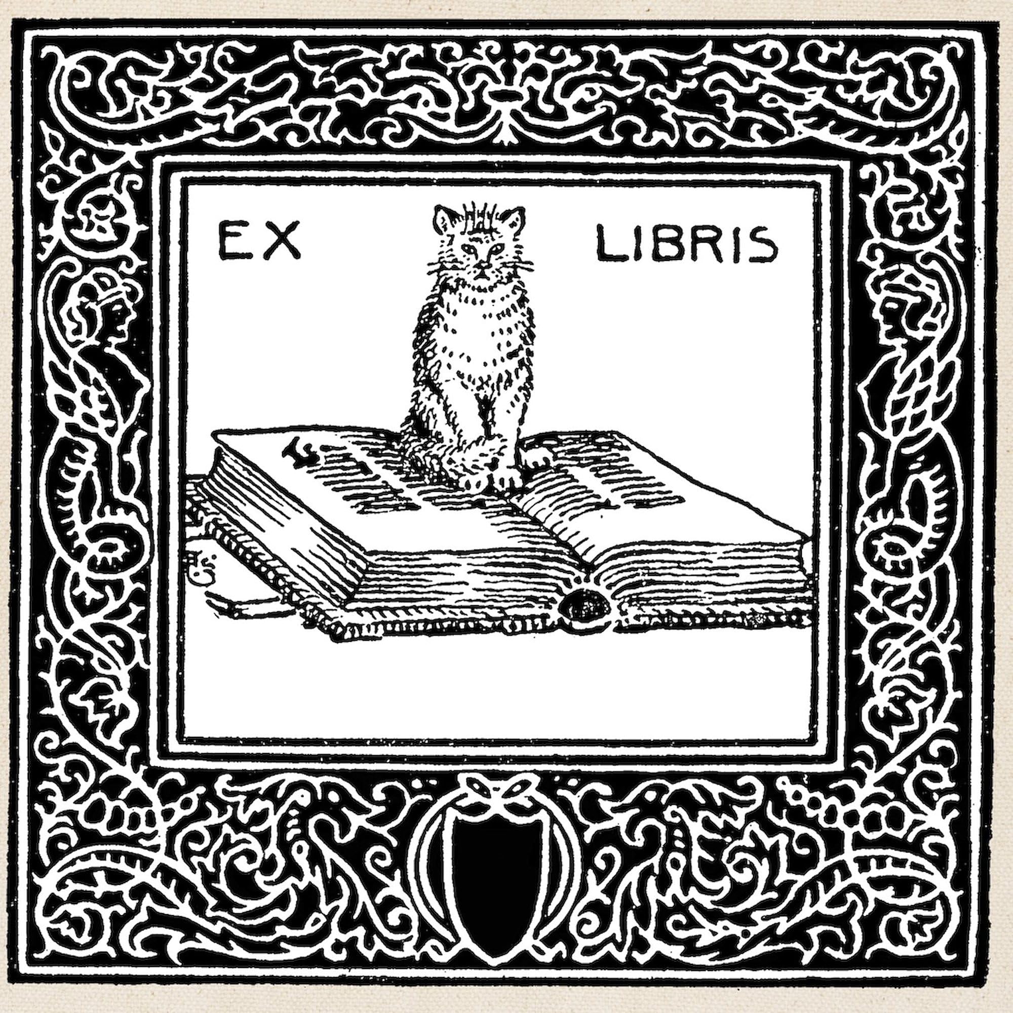 Ex Libris Cat and Book Tote Bag - Natural Canvas Reusable Shopping Bag for Book Lovers, Library Visits & Eco-Friendly Grocery Trips