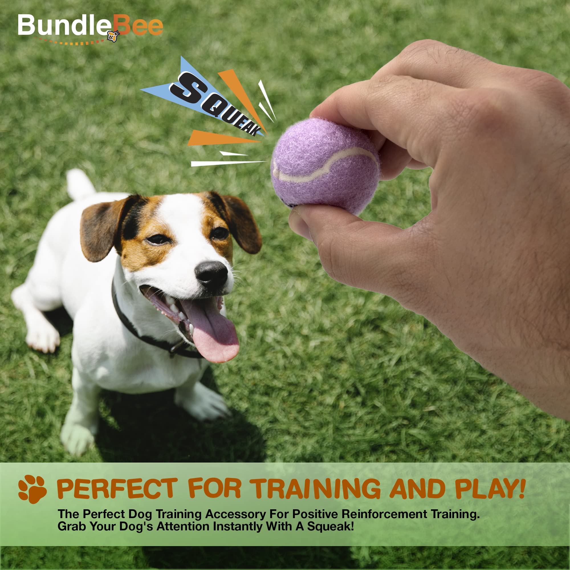 Colorful Squeaky Tennis Balls for Small Dogs - 12 Pack - Perfect for Outdoor Fetch & Training