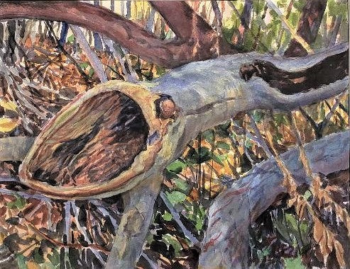 Richard Estell: Hollow Log - Rustic Wooden Home Decor for Cabin & Farmhouse Style | Perfect for Wall Art, Shelf Display, and Cozy Interior Design