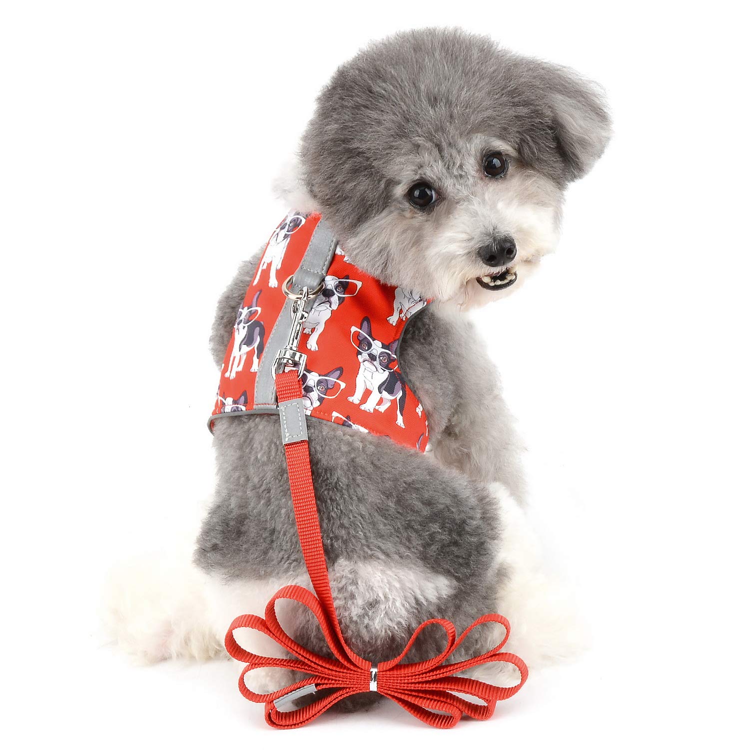 No Pull Dog Harness and Leash Set for Small Dogs - Reflective Puppy Vest with Anti-Lost Card, Breathable Mesh Pet Harness for Walking, Running & Outdoor Adventures (Cute Printed Red Design) - Perfect for Daily Walks, Park Visits & Training Sessions