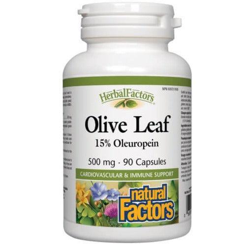 Natural Factors Olive Leaf Extract 500mg - 90 Capsules | Immune Support & Antioxidant Supplement for Daily Wellness & Heart Health