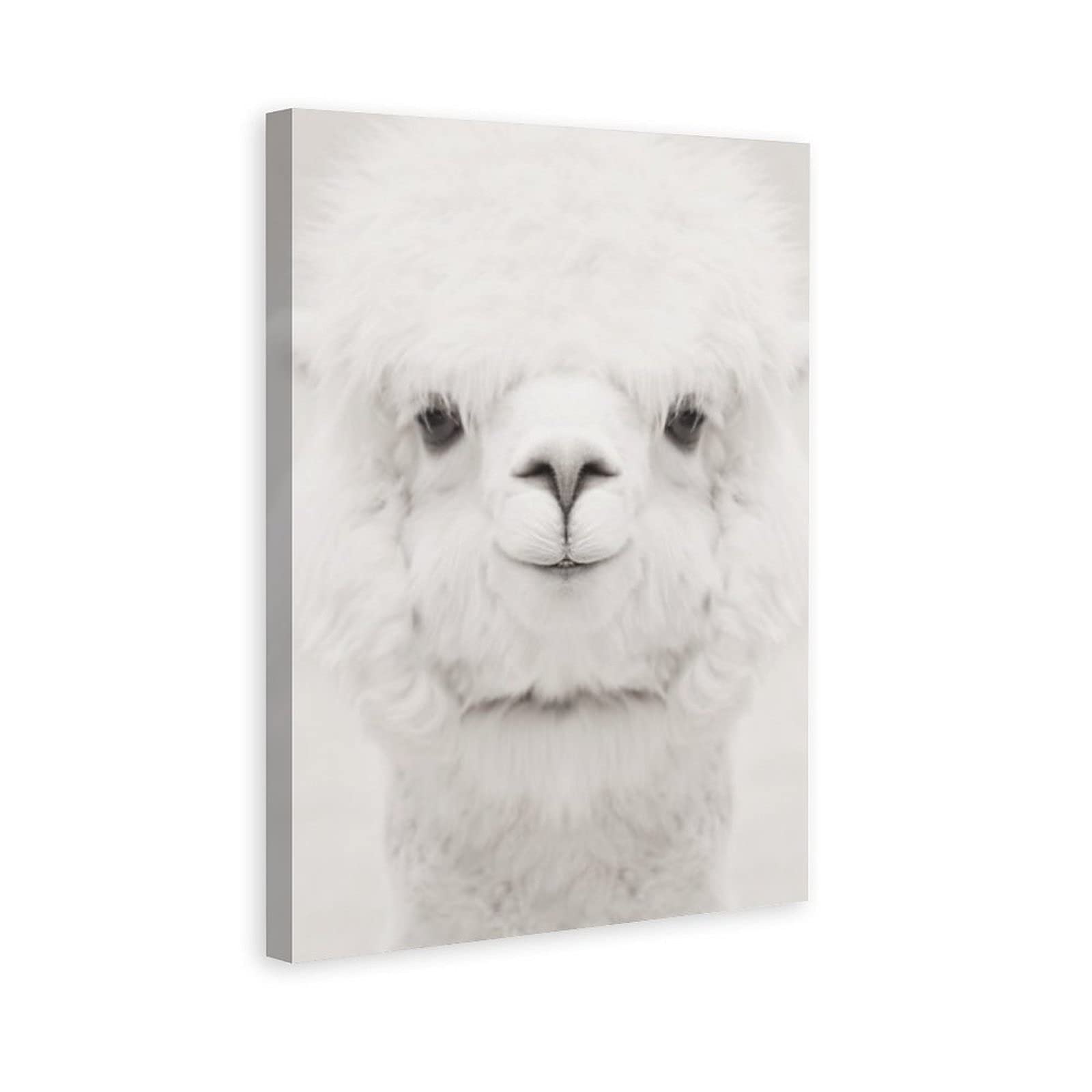 Smiling Alpaca Canvas Wall Art - 12x18 Inches (30x45cm) - Cute Animal Poster for Bedroom, Office, Nursery & Living Room Decor - Perfect Gift for Animal Lovers & Home Decoration