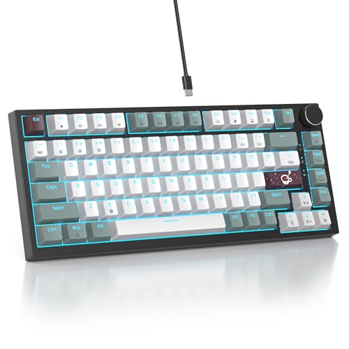 Mist /Red Switch