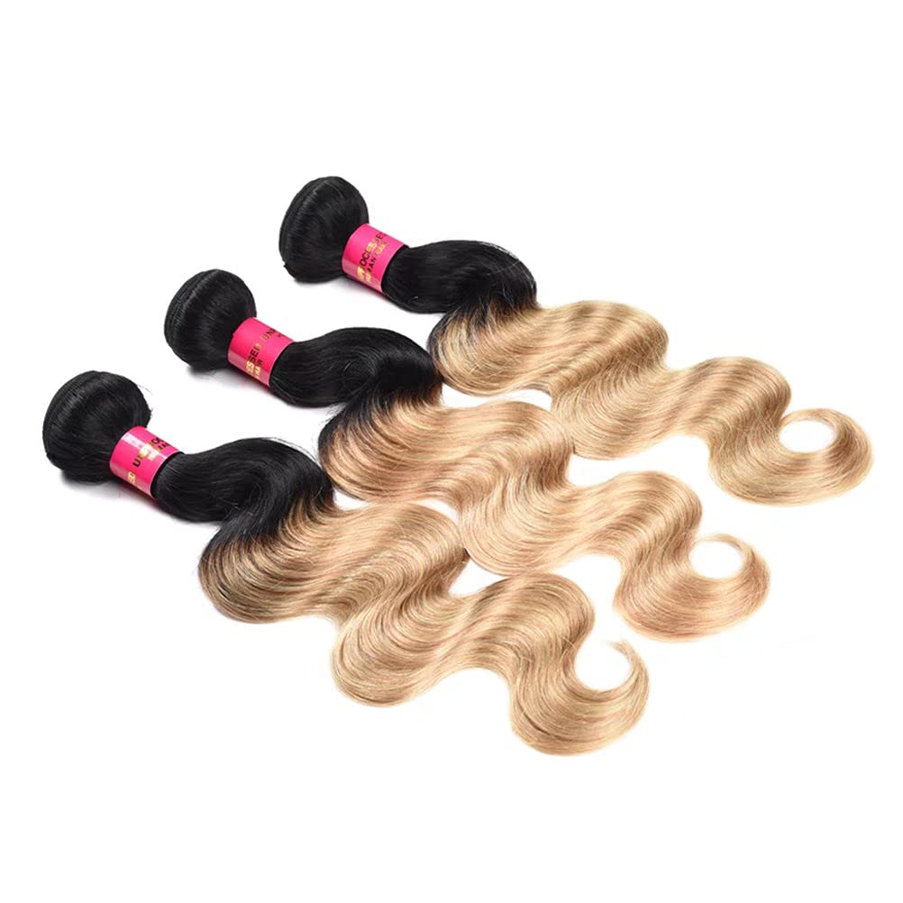 WOME Brazilian Ombre Human Hair Bundles - 3 Bundles Unprocessed #1B/27 Blonde Ombre Two Tone Hair Wefts Extensions (10