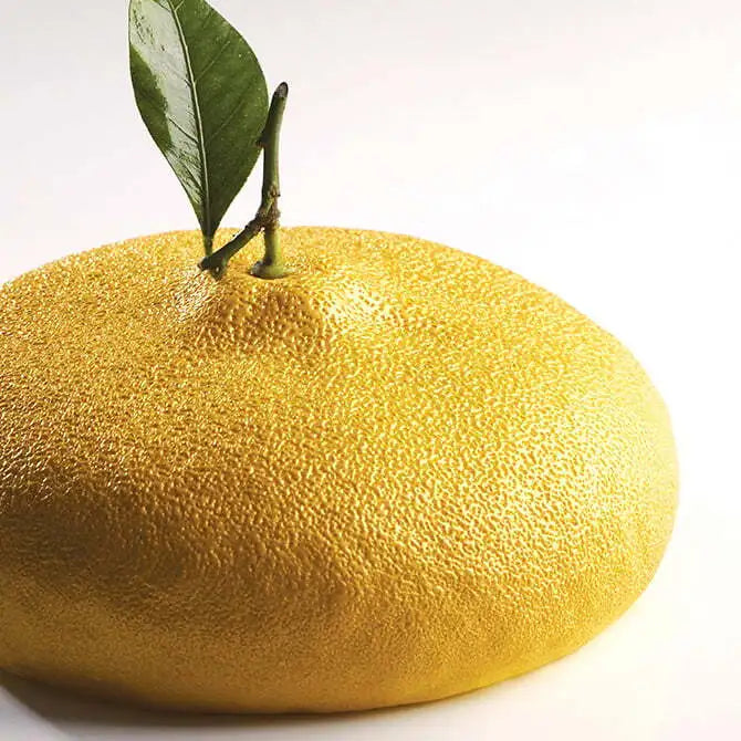Pavocake Citron 1 Form by Cedric Grolet - Premium French Lemon Pastry for Special Occasions & Gourmet Desserts