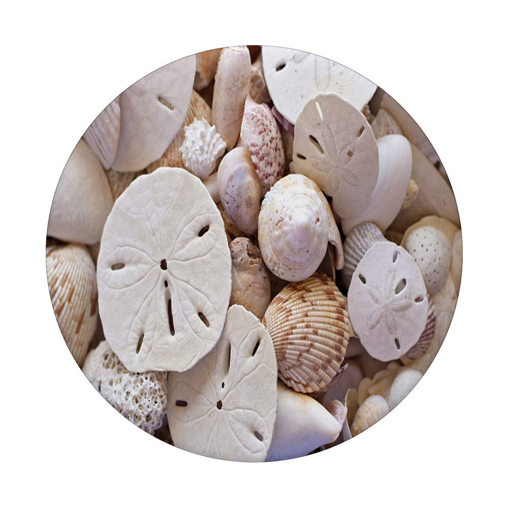 Sand Dollars and Seashells PopSockets PopGrip - Interchangeable Phone & Tablet Stand with Swappable Grip for iPhone, Samsung, and More | Perfect for Beach Lovers, Summer Travel, and Coastal Decor