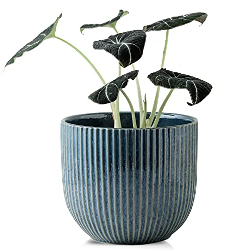 Pinstripe Blue