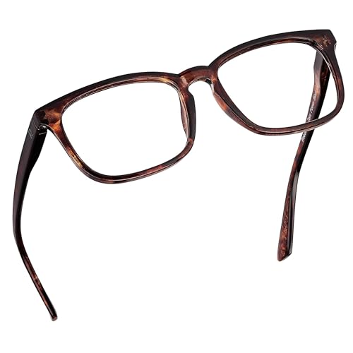 Borbon Tortoise