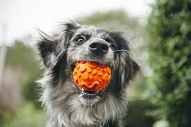 NovaFlex Treat Ball for Dogs - Interactive Chew Toy with Treat Dispenser, Durable Orange Rubber Ball for Small & Large Breeds - Perfect for Training, Playtime & Mental Stimulation