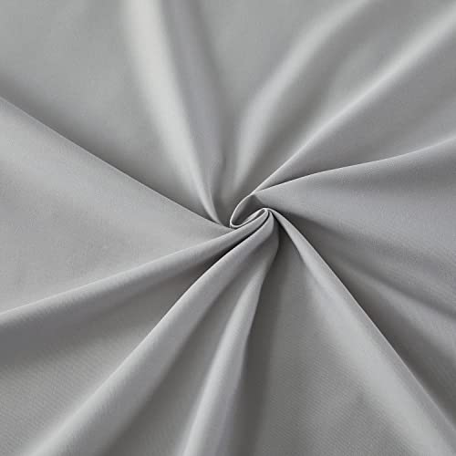 Silver Light Gray