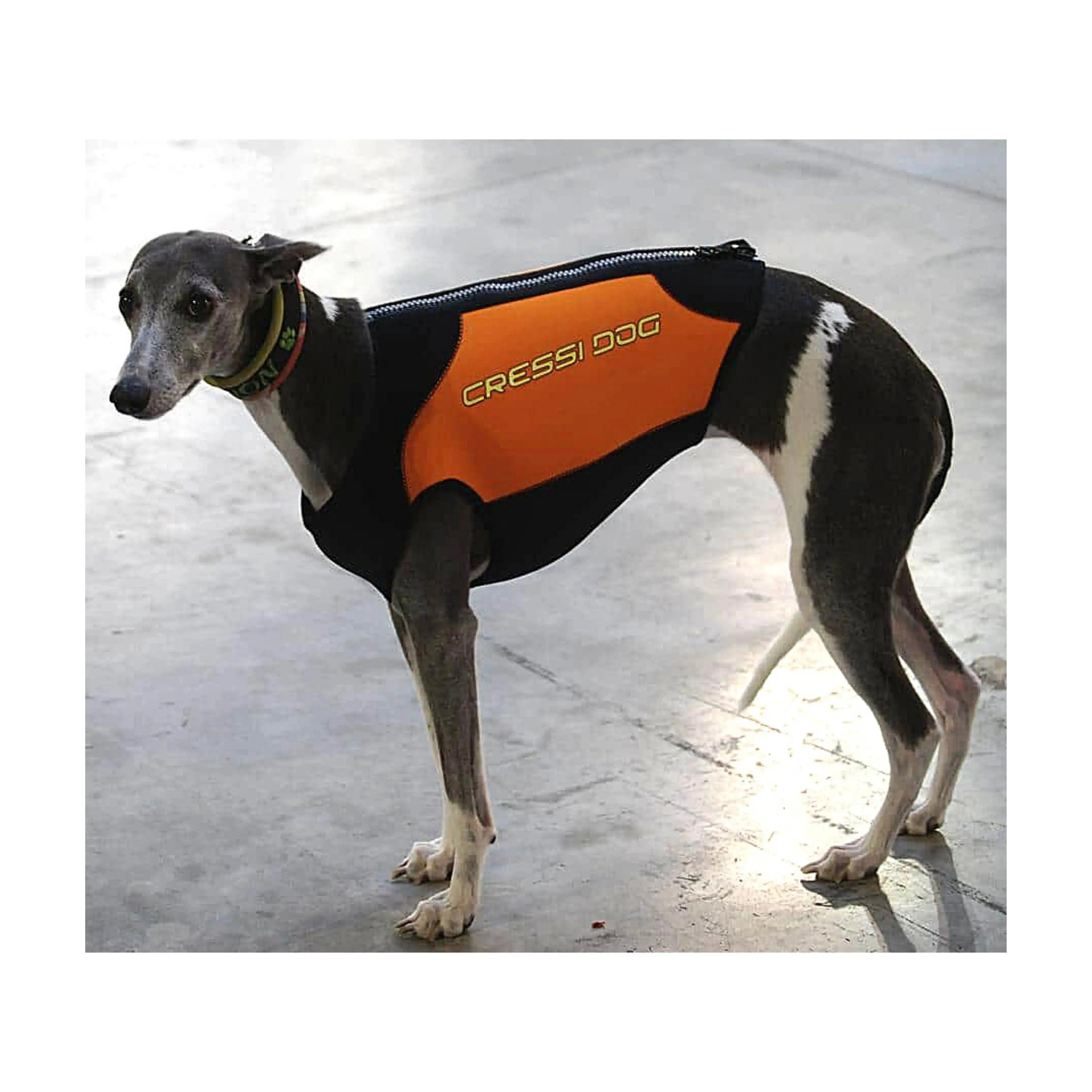CRESSI Dog Wetsuit for Medium Dogs - Waterproof Swimwear for Beach, Pool & Outdoor Adventures