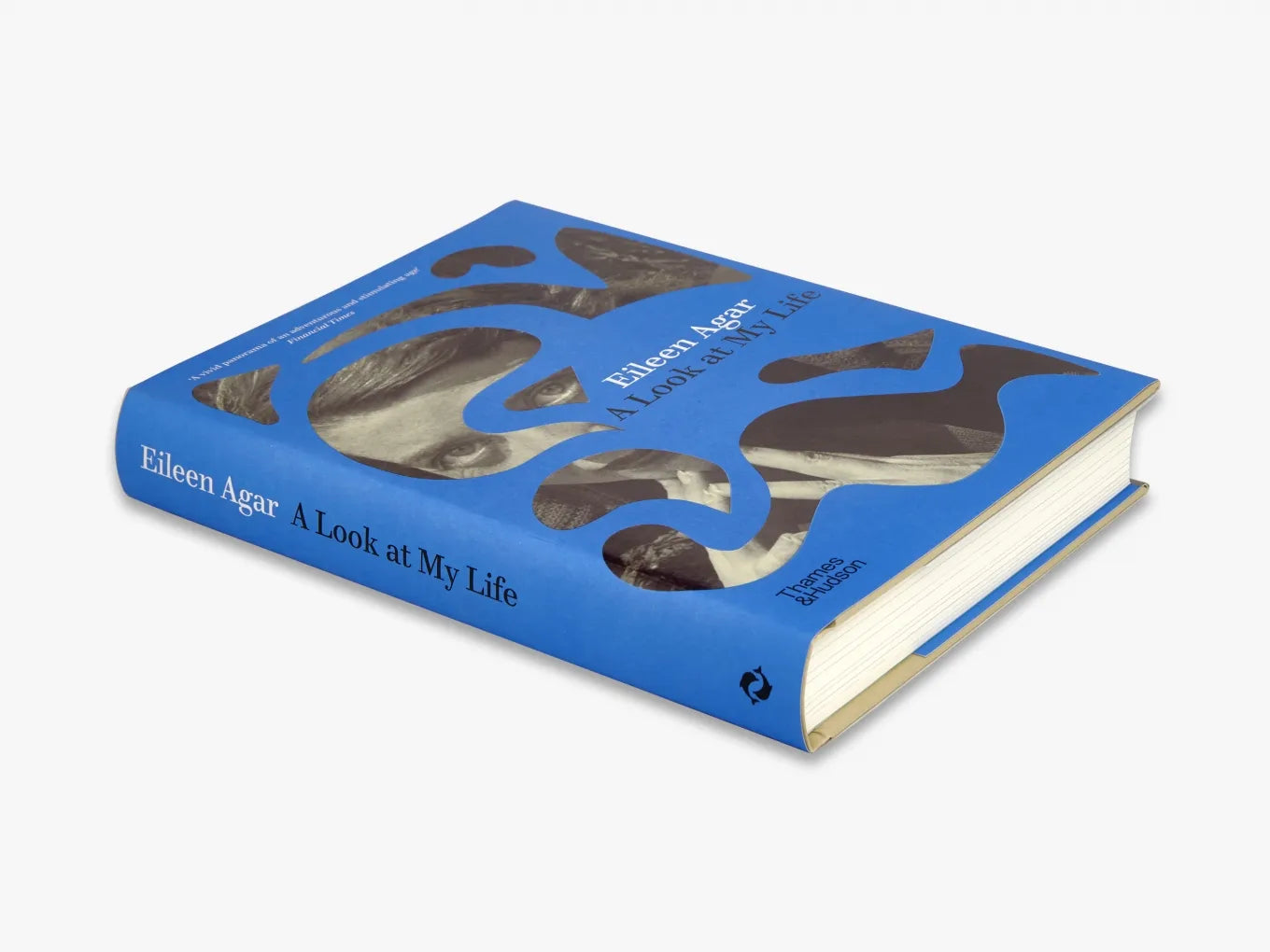 My Life Story: A Personal Journey of Growth, Challenges & Triumphs - Perfect for Memoirs, Autobiographies & Inspirational Reading