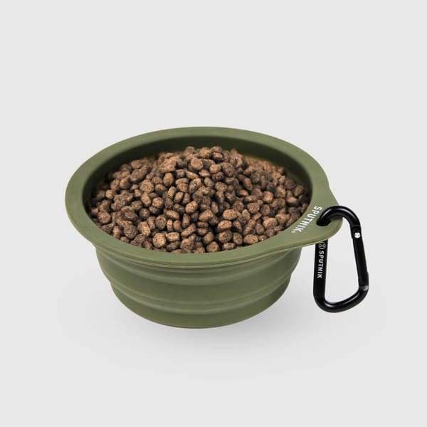 Foldable Sputnik Collapsible Green Pet Bowl - Portable Travel Dog & Cat Food Dish for Hiking, Camping, and Outdoor Adventures
