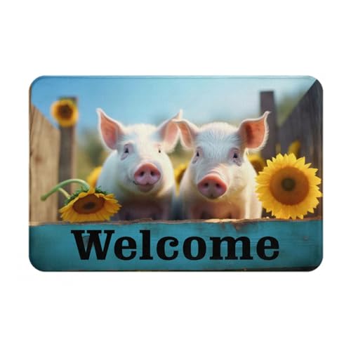 Cute Pigs