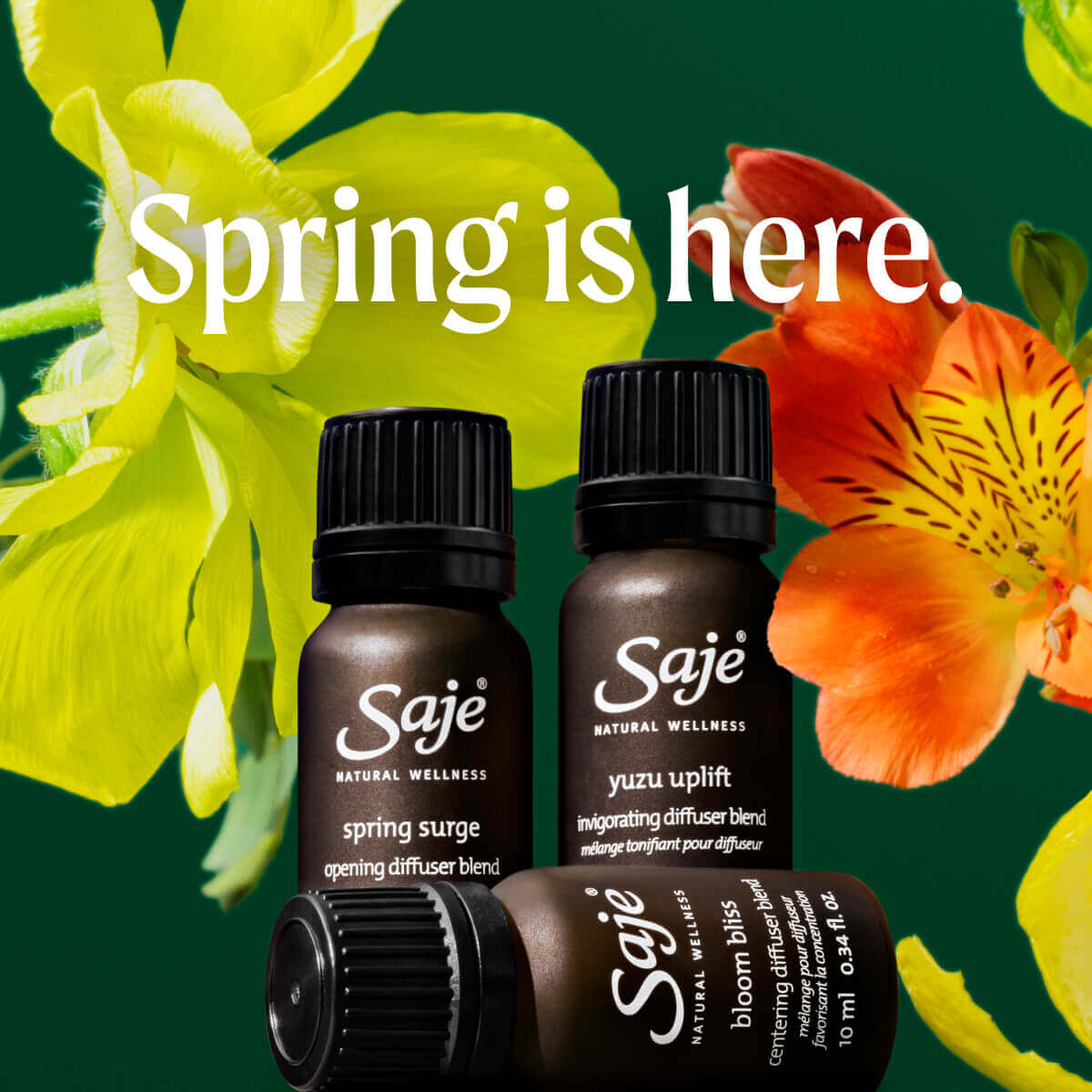 Spring Surge Essential Oil Diffuser Blend - Aromatherapy for Relaxation & Stress Relief - Perfect for Home, Office & Yoga Spaces
