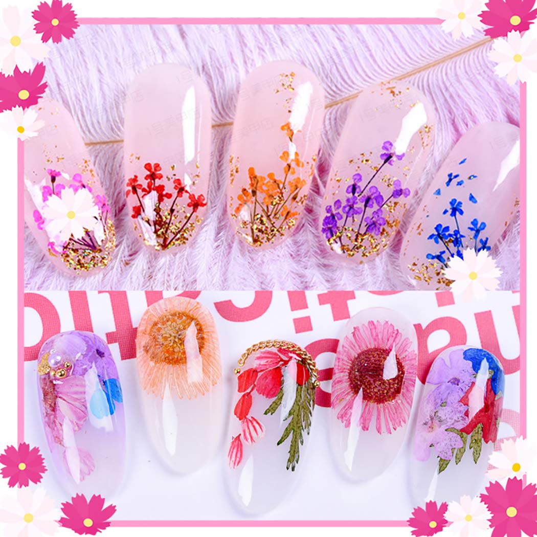 SOWUNO 1 Box Nail Art Decorations Kit - DIY Dried Flower Nail Art Supplies for Manicure, Gel Polish, Acrylic Nails - Perfect for Home Salon, Nail Parties & Professional Nail Artists
