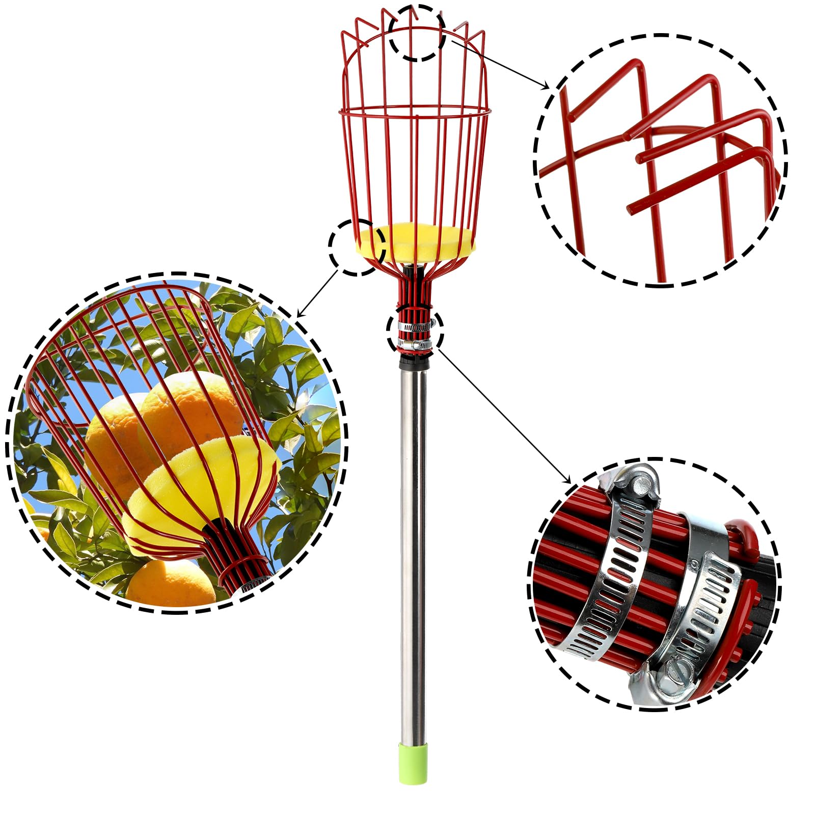 Suwimut 8FT Telescopic Fruit Picker Pole with Twist-On Basket - Adjustable Harvesting Tool for Avocados, Lemons, Pears, Mangoes & Oranges - Perfect for Home Orchards, Backyard Harvesting & Tall Tree Fruit Picking