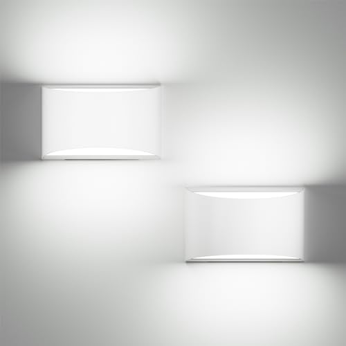 White Shell-cool white-2 pack