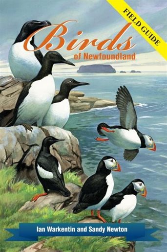 Birds of Newfoundland - Comprehensive Guide & Field Book for Birdwatching, Identification, and Nature Exploration
