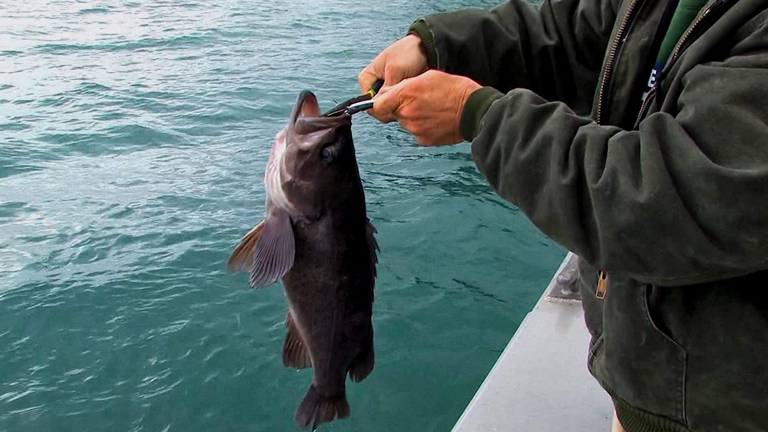 Bow Productions Alaska Adventures of The Kenai - Travel & Fishing Documentary DVD - Perfect for Outdoor Enthusiasts and Nature Lovers