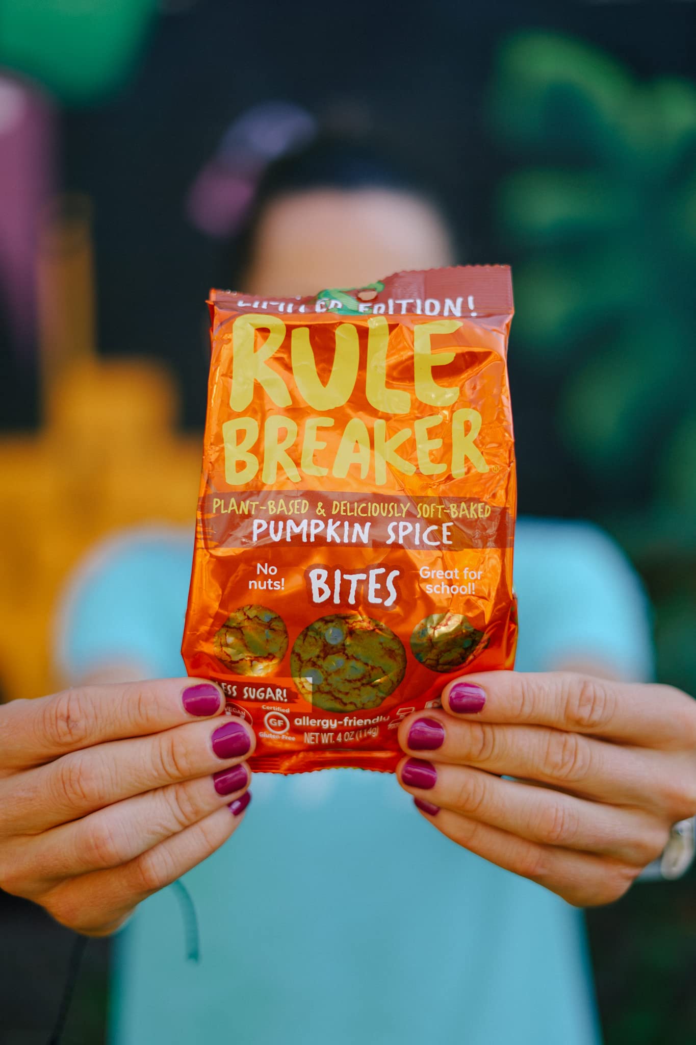 Rule Breaker Snacks Vegan Gluten Free Pumpkin Spice Cookie Bites - Plant-Based, Dairy Free, Nut Free, Soy Free, Allergen Free, Kosher Certified Soft-Baked Cookies - Healthy School Snacks for Kids & Adults (Pack of 3) | Perfect for Lunchboxes, After-School Treats & On-The-Go Snacking