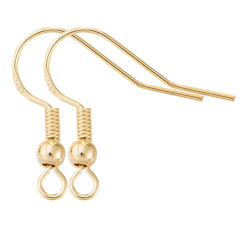 Hypoallergenic 14K Gold Earring Hooks for Jewelry Making - 120pcs/60 Pairs Fish Hook Ear Wires with 120 Rubber Earring Backs, DIY Jewelry Findings for Handmade Earrings - Perfect for Crafting, Gifts & Fashion Accessories