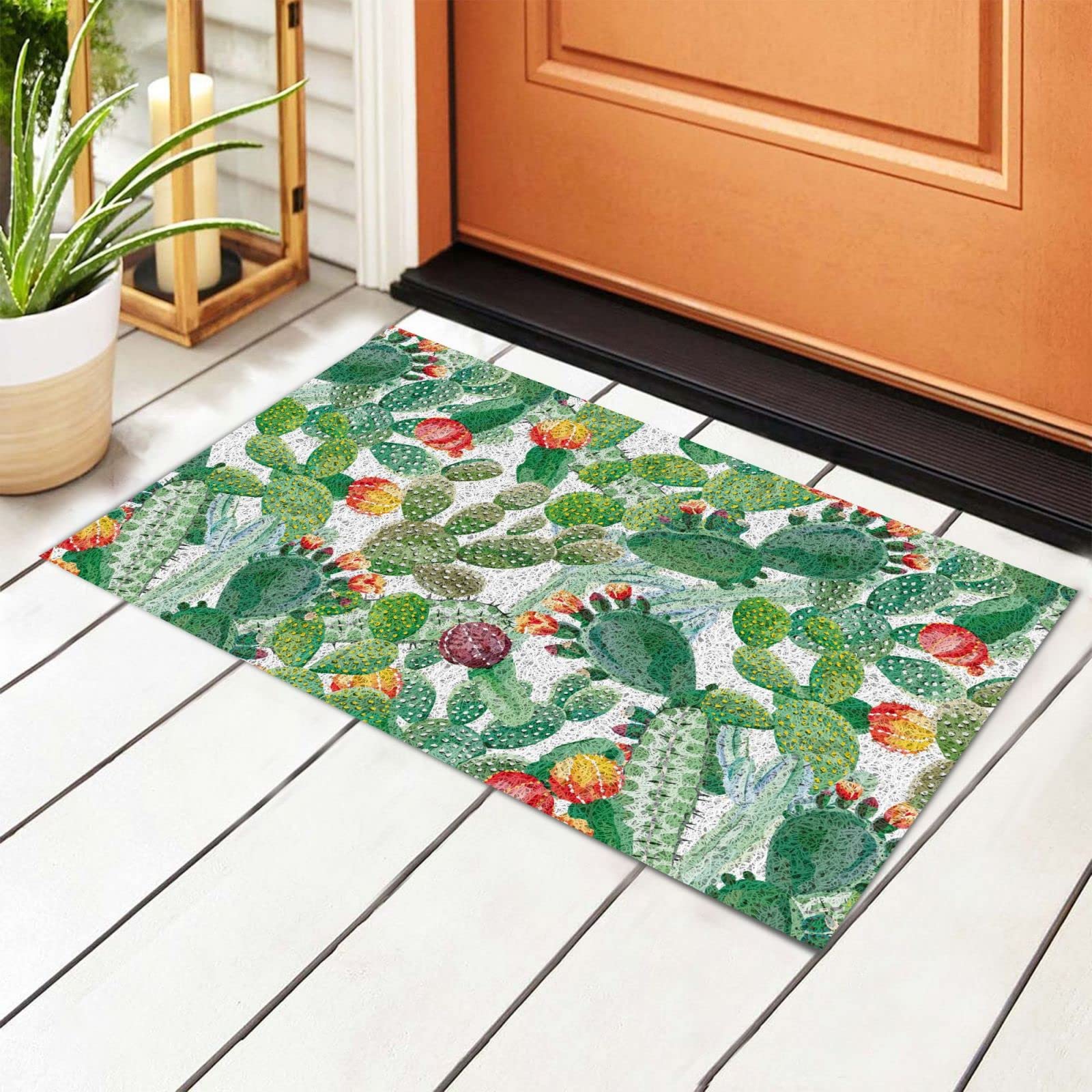 BoeHiop Cactus Succulents Welcome Door Mat - Non-Slip Absorbent Indoor/Outdoor Rug - Personalized Front Door Mat for Home Decor - Perfect for Entryways, Patios & Porches