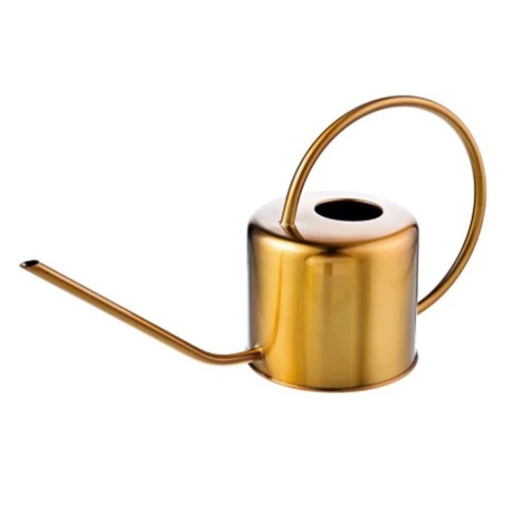 LEIGE Long Spout Watering Can for Indoor Plants, Outdoor Garden, Flowers - 1 Gallon Capacity, Durable Plastic, Ergonomic Handle - Perfect for Houseplants, Balcony Gardens, and Lawn Care (Color: A)