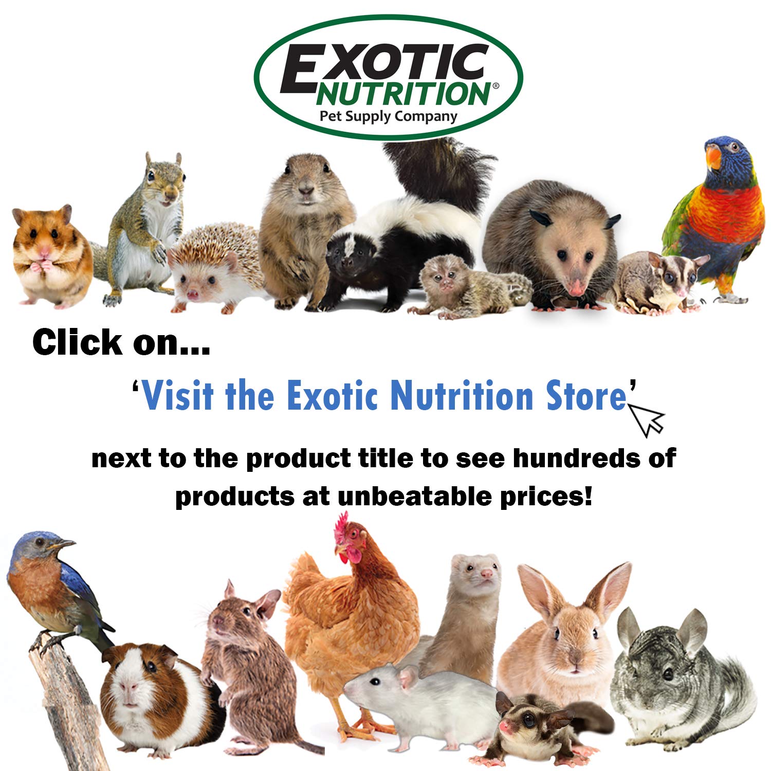 Premium Congo Cage & Starter Kit for Sugar Gliders - Complete Habitat Set with Durable Cage, Exercise Wheel, Nutritious Food Mix, Water Bottle, Feeding Bowls & Cozy Nest Pouch - Perfect for Small Pet Homes, Vet Clinics & Exotic Animal Enthusiasts