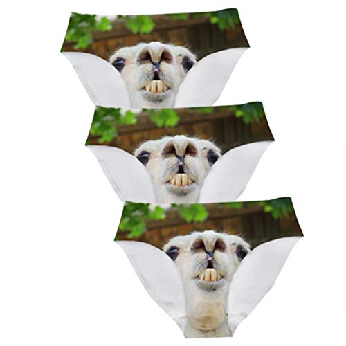 Alpaca 3 Pcs