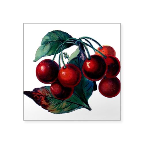 Clear - Vintage Cherry Big Red Juicy Cherries Fruit Sticke