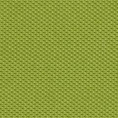 Wasabi Fabric