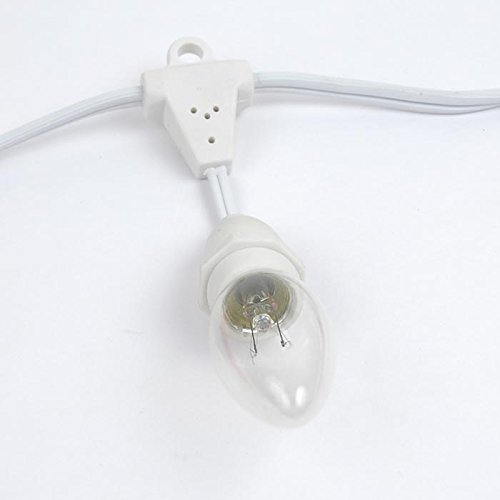 25' Clear Incandescent G50 Globe Outdoor String Lights - Commercial Grade Weatherproof Patio Lights with White Wire & 25 Sockets - Perfect for Backyard, Garden, Gazebo, Cafe, Market & Outdoor Dining Areas