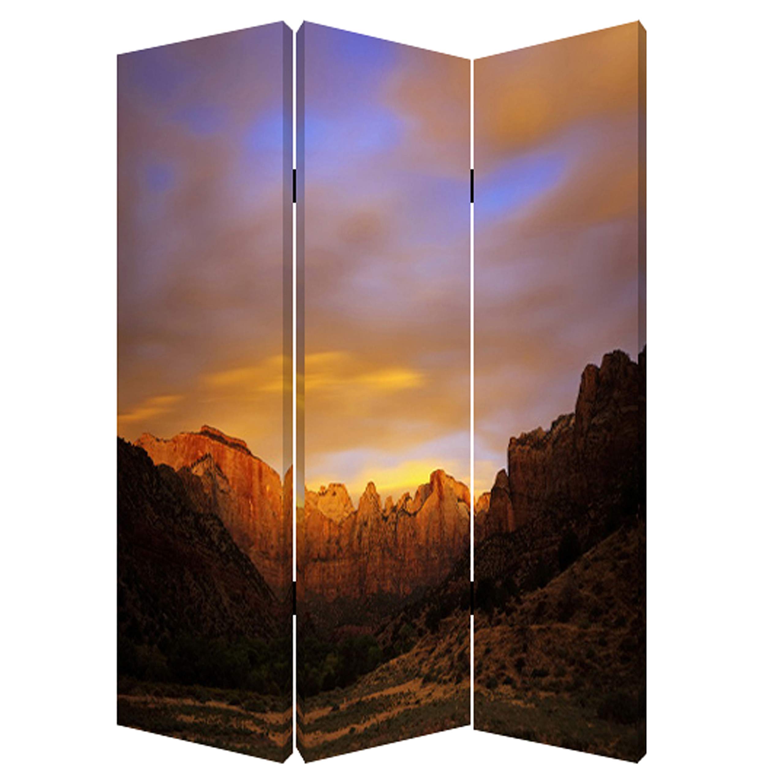 Stylish Desert-Themed Room Divider Screen - Handcrafted Rattan Partition for Home & Office Decor | Perfect for Living Rooms, Bedrooms, and Studio Spaces