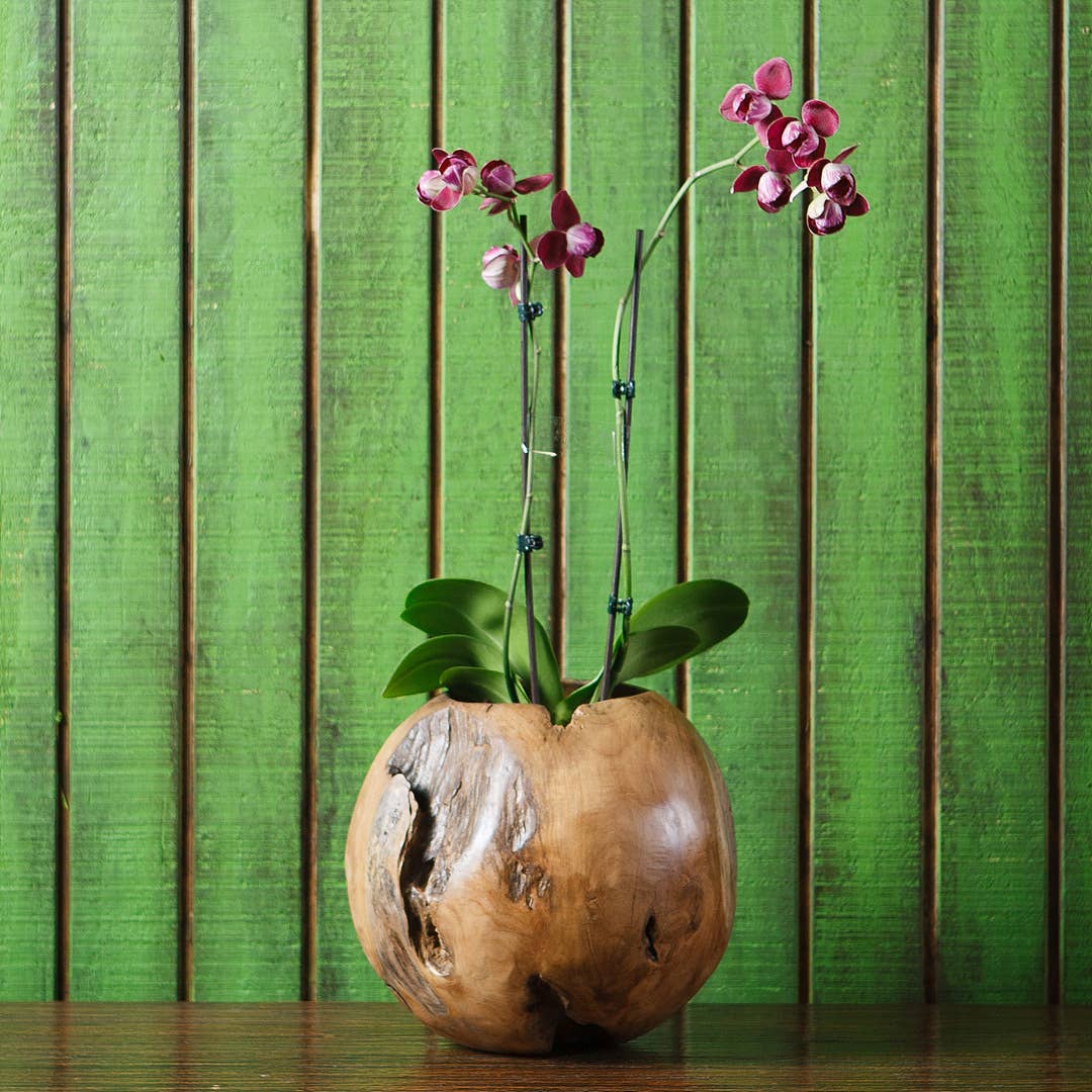 Handcrafted Teak Wood Ball Planter - Elegant Home & Garden Decor for Indoor Plants, Succulents, and Small Flowers