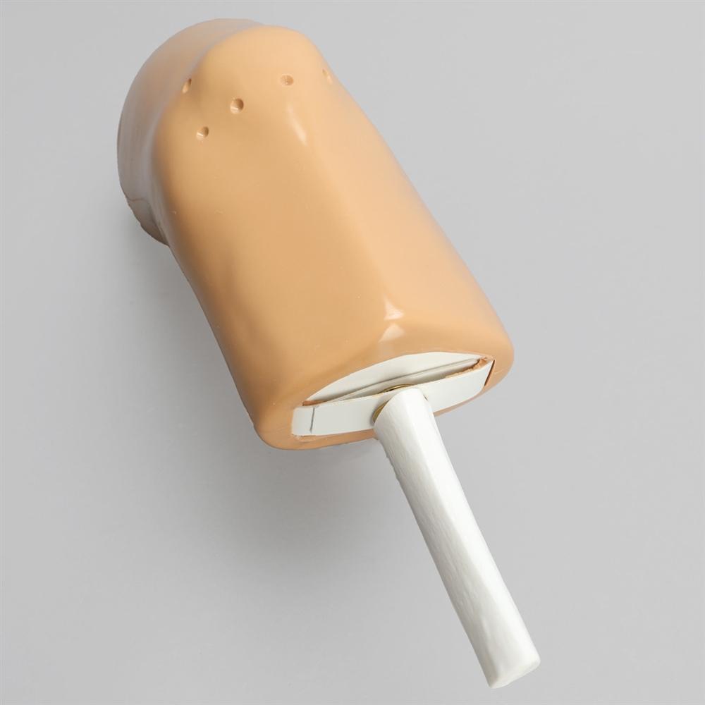 Dry Arthroscopy Knee Simulator - Medical Training Model for Orthopedic Surgeons | Practice Knee Surgery Techniques | Ideal for Medical Schools & Surgical Training Centers