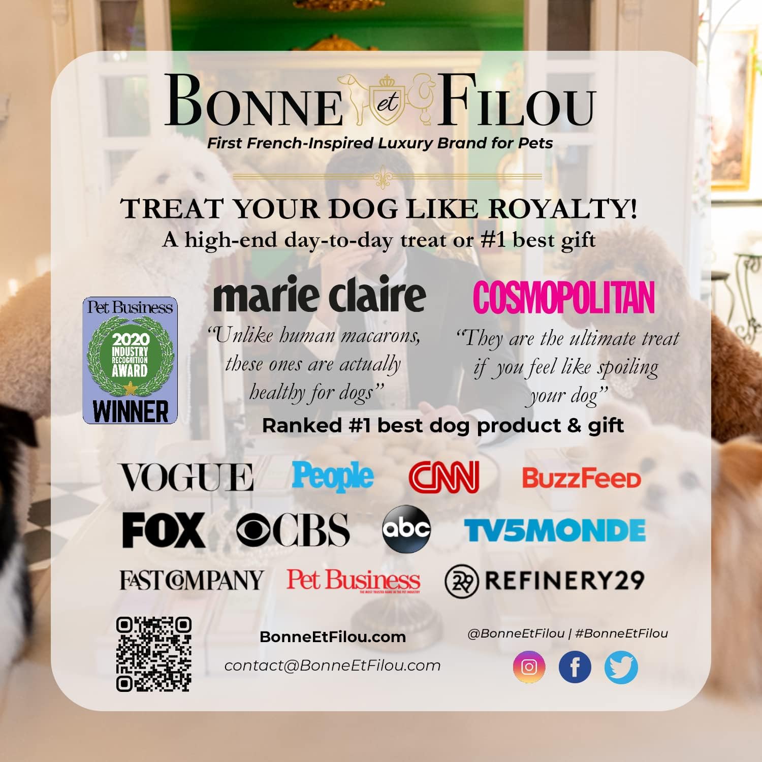 Bonne et Filou Gourmet Peanut Butter Cupcakes for Dogs – Healthy & Delicious Human-Grade Dog Treats – 6 Pack – Perfect for Training Rewards & Special Occasions